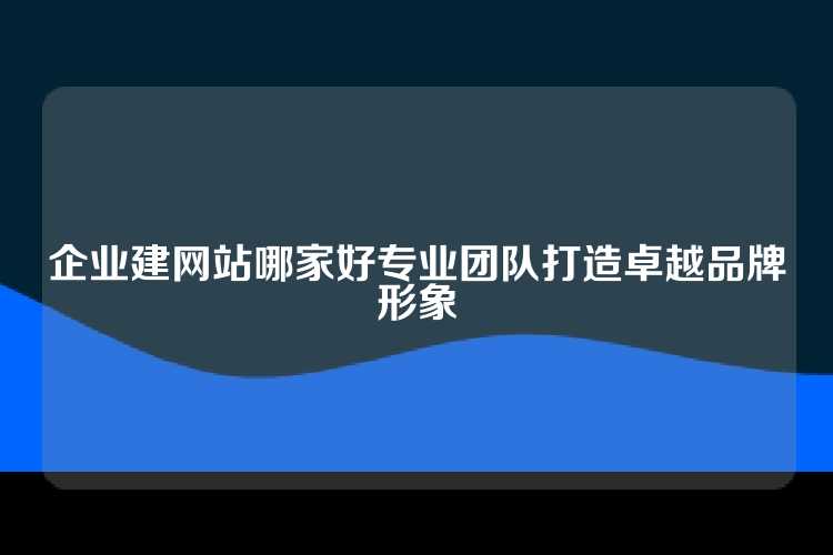 企业建网站哪家好专业团队打造卓越品牌形象