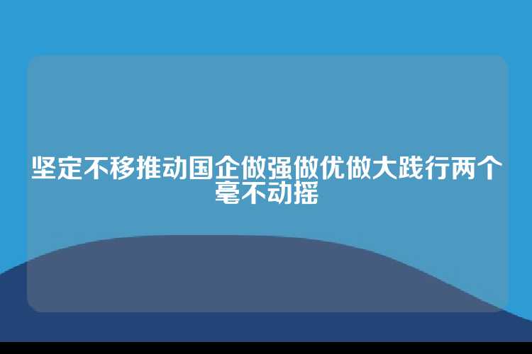 坚定不移推动国企做强做优做大践行两个毫不动摇