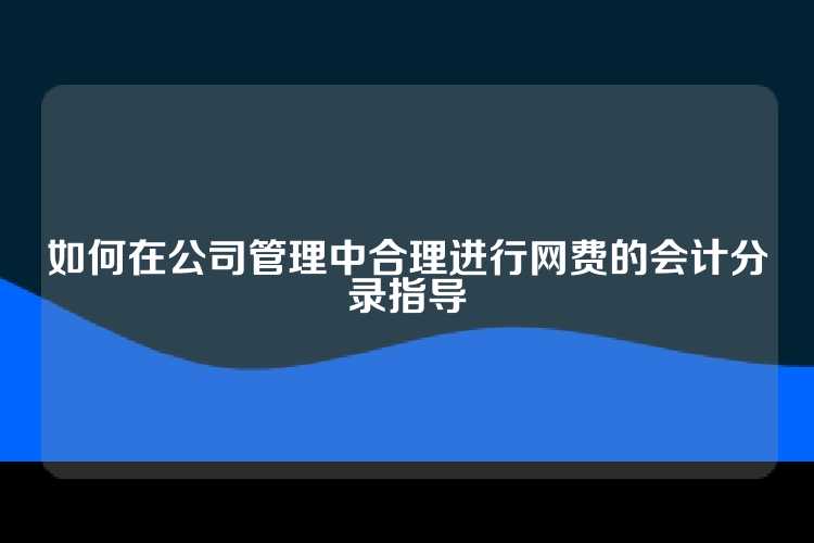在公司管理中合理进行网费的会计分录