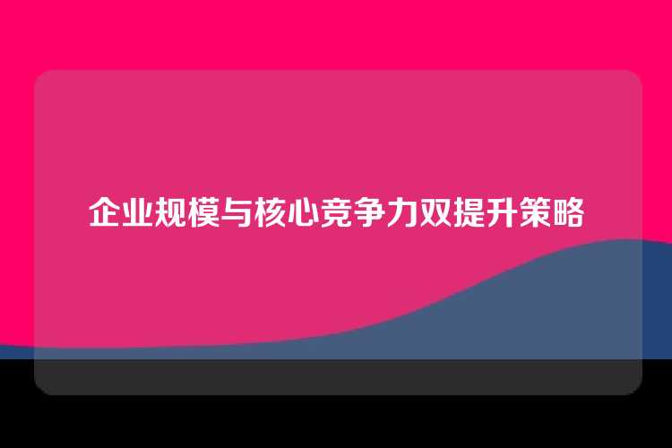 企业规模与核心竞争力双提升策略