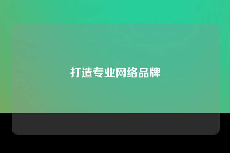 打造专业网络品牌