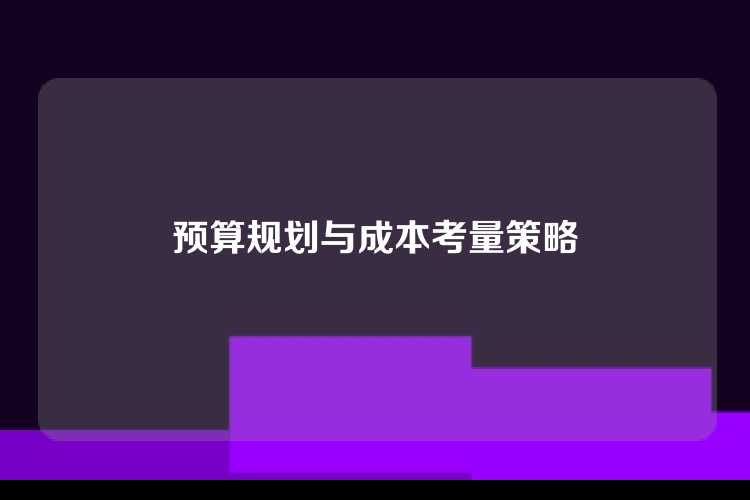 预算规划与成本考量策略