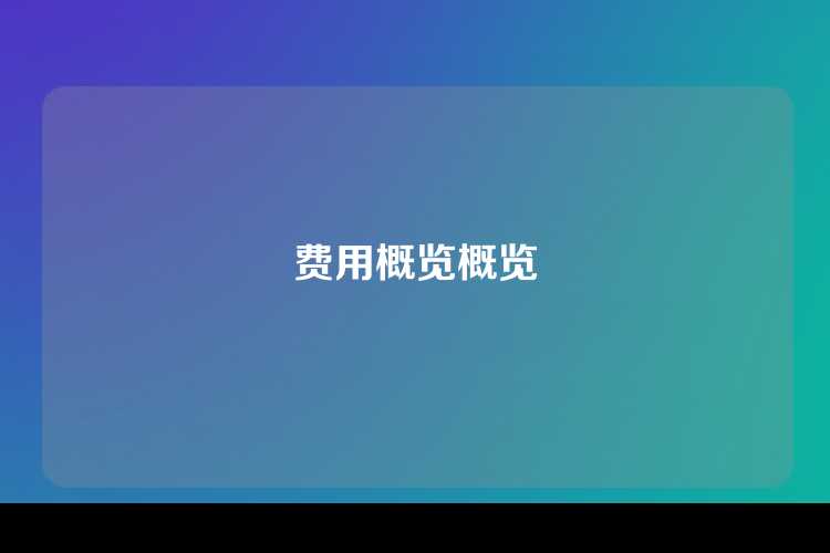 费用概览概览