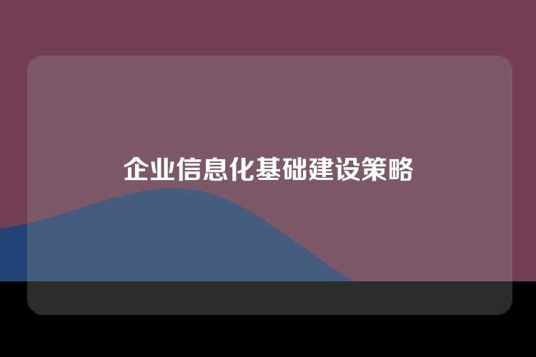 企业信息化基础建设策略