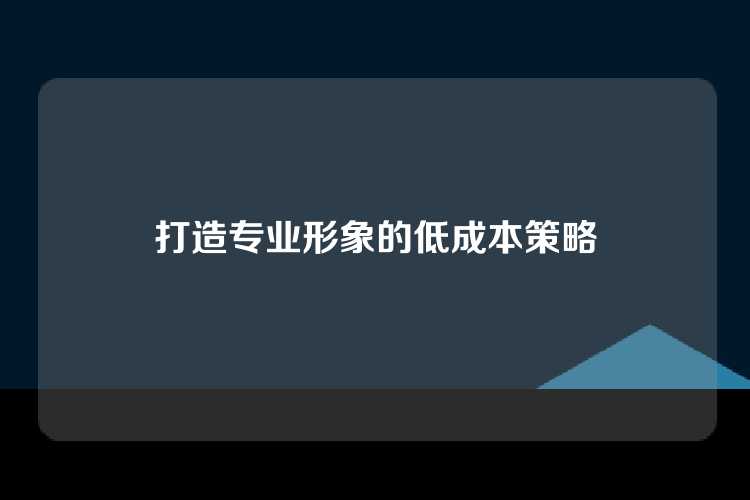 打造专业形象的低成本策略