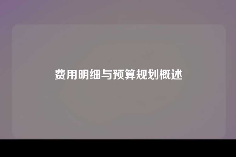 费用明细与预算规划概述