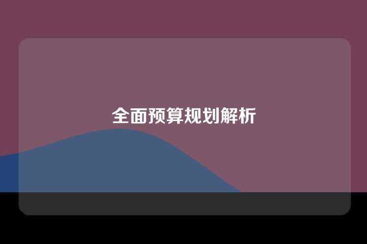 全面预算规划解析