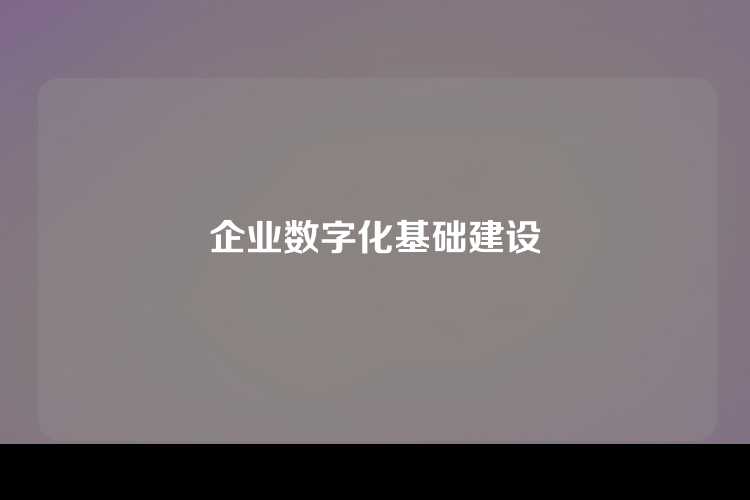 企业数字化基础建设