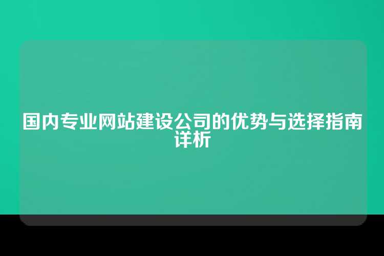 国内专业网站建设公司的优势与选择指南详析