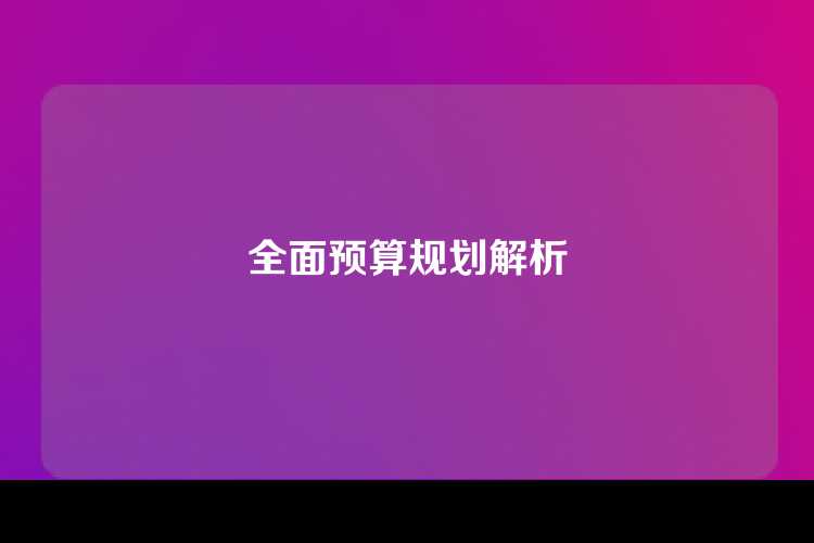 全面预算规划解析