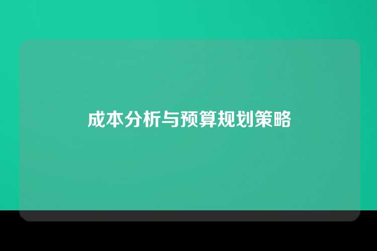 成本分析与预算规划策略