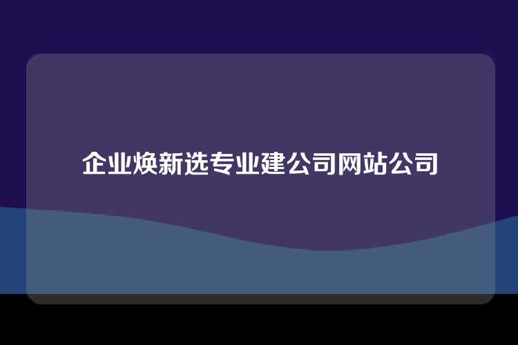 企业焕新选专业建公司网站公司