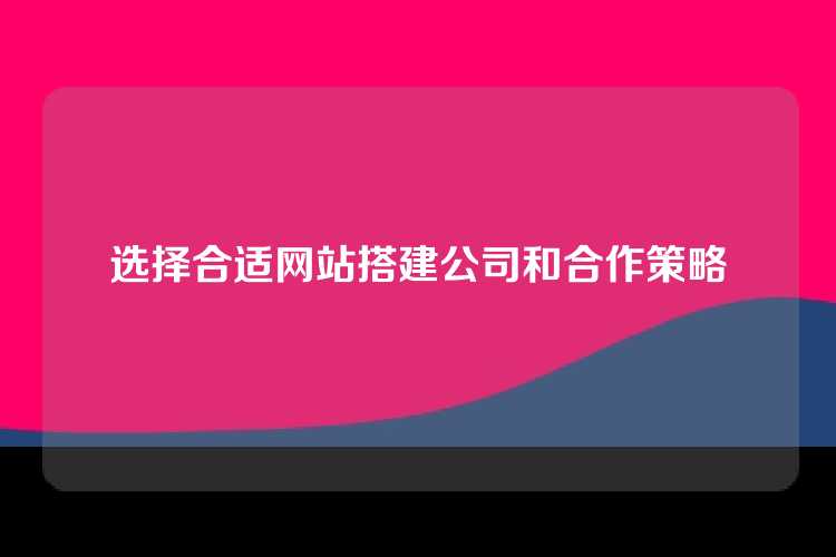 选择合适网站搭建公司和合作策略
