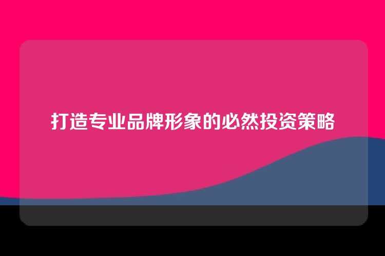 打造专业品牌形象的必然投资策略