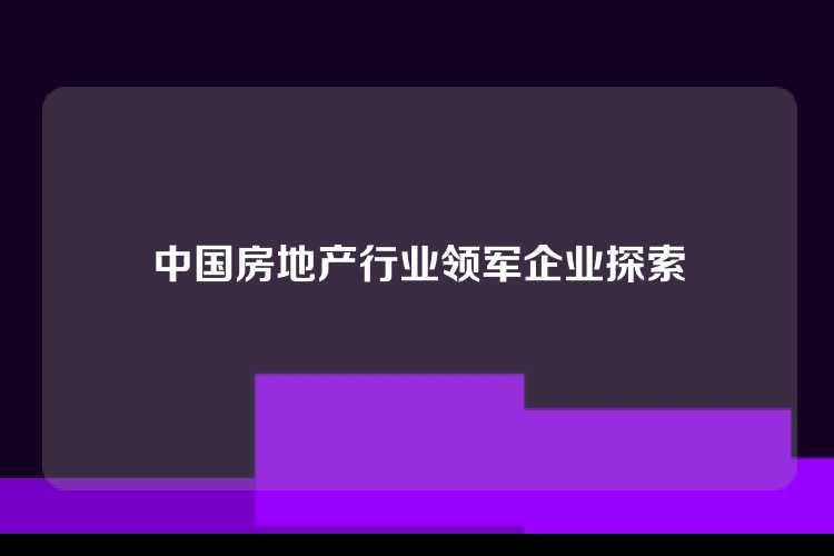 中国房地产行业领军企业探索