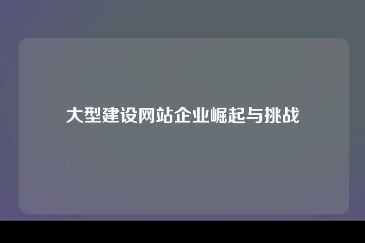 大型建设网站企业崛起与挑战