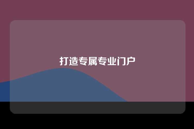 打造专属专业门户