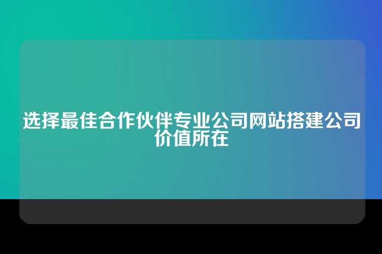 选择最佳合作伙伴专业公司网站搭建公司价值所在