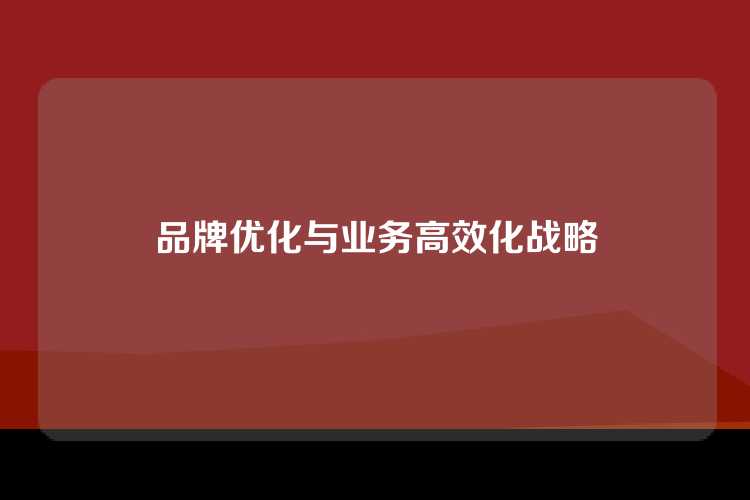 品牌优化与业务高效化战略