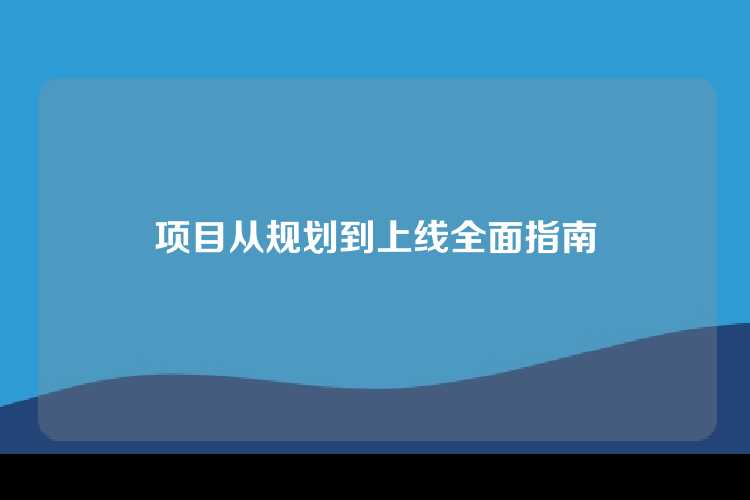 项目从规划到上线全面指南