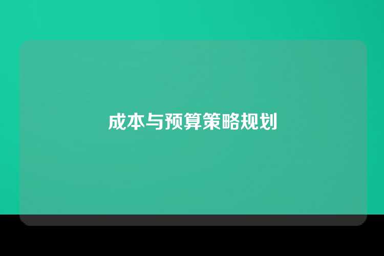 成本与预算策略规划