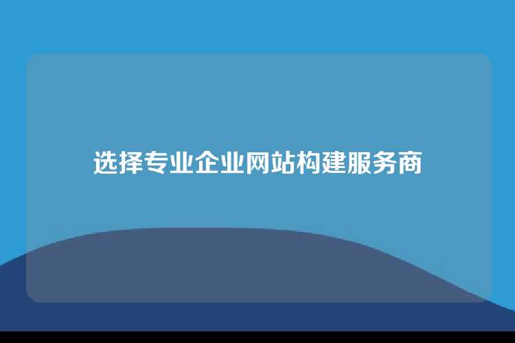 选择专业企业网站构建服务商