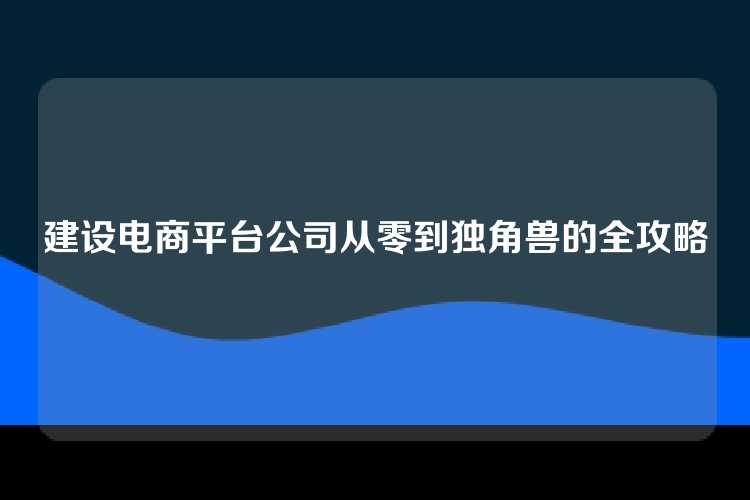 建设电商平台公司从零到独角兽的全攻略