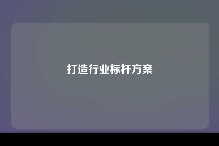 打造行业标杆方案