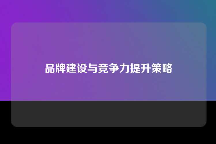 品牌建设与竞争力提升策略