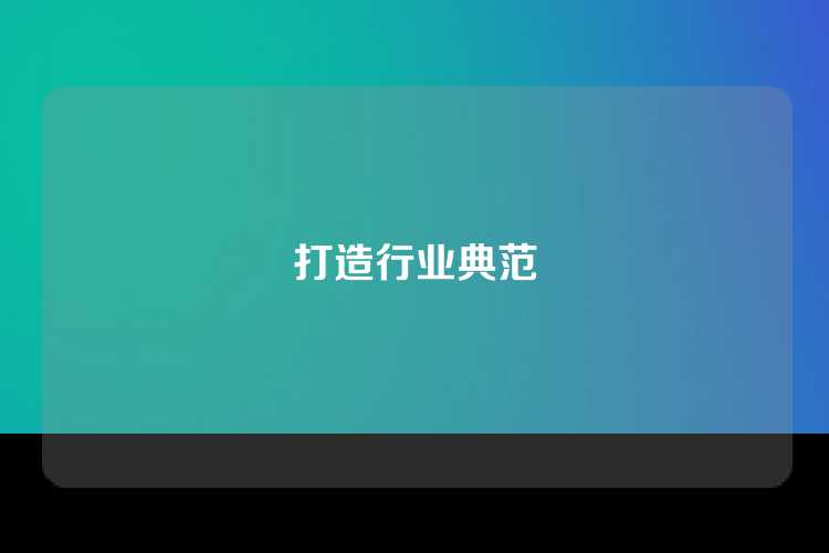 打造行业典范