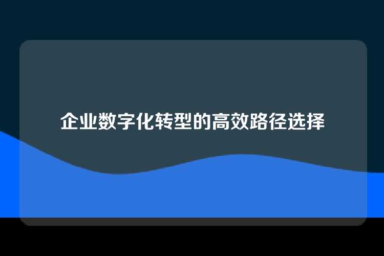 企业数字化转型的高效路径选择