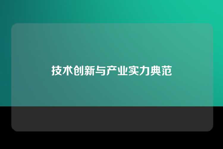 技术创新与产业实力典范