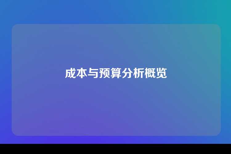 成本与预算分析概览