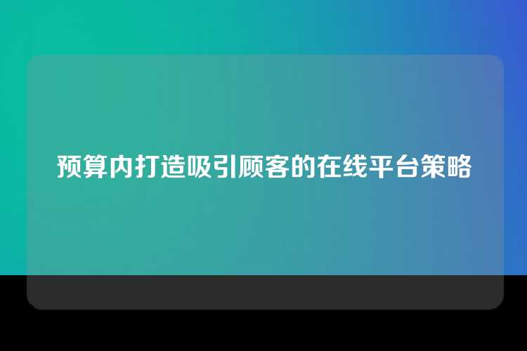 预算内打造吸引顾客的在线平台策略