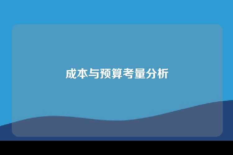 成本与预算考量分析