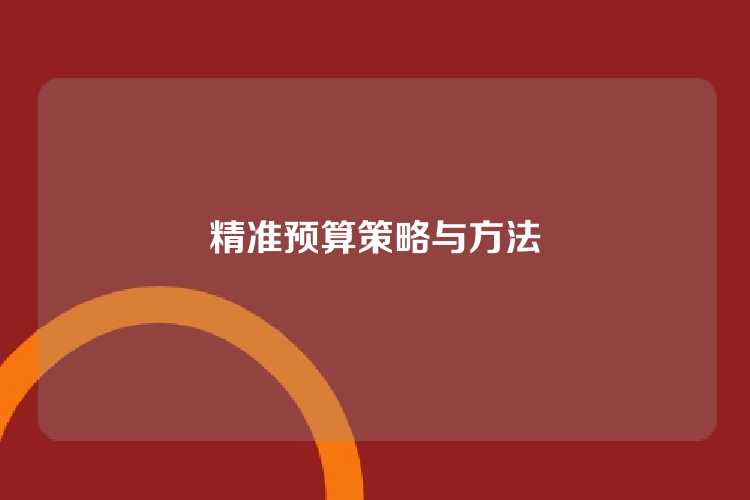 精准预算策略与方法