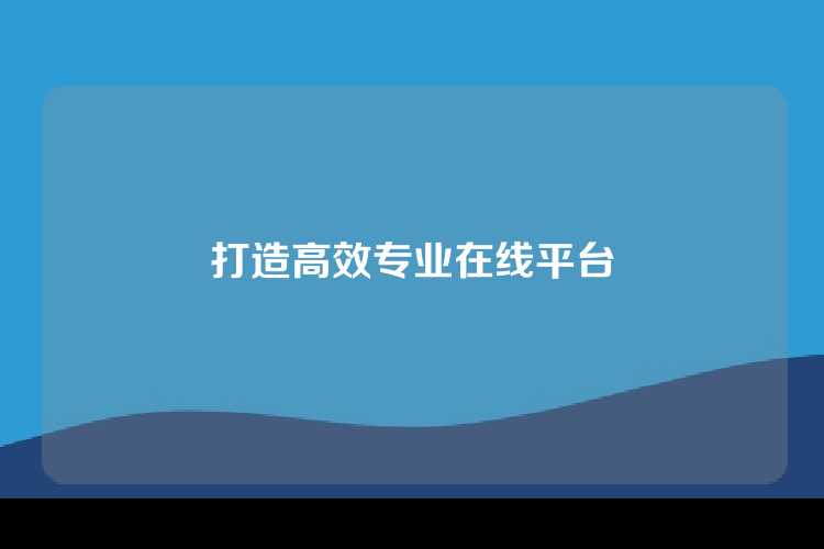 打造高效专业在线平台