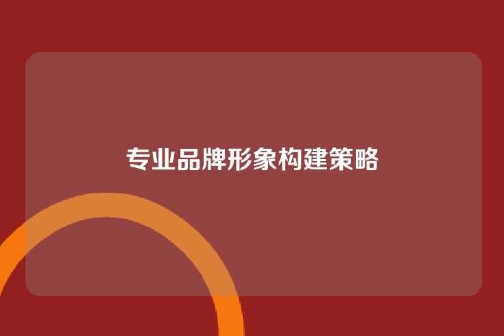 专业品牌形象构建策略