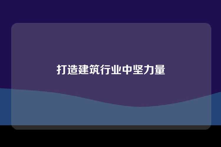 打造建筑行业中坚力量