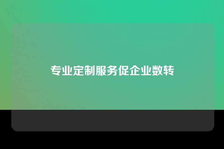 专业定制服务促企业数转