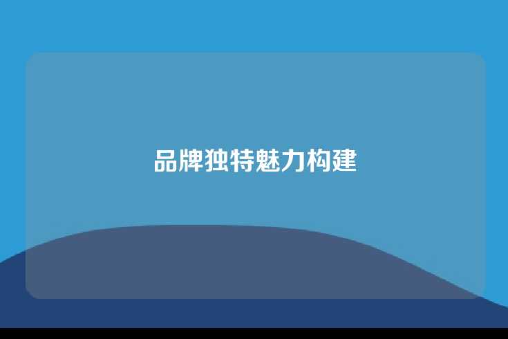 品牌独特魅力构建