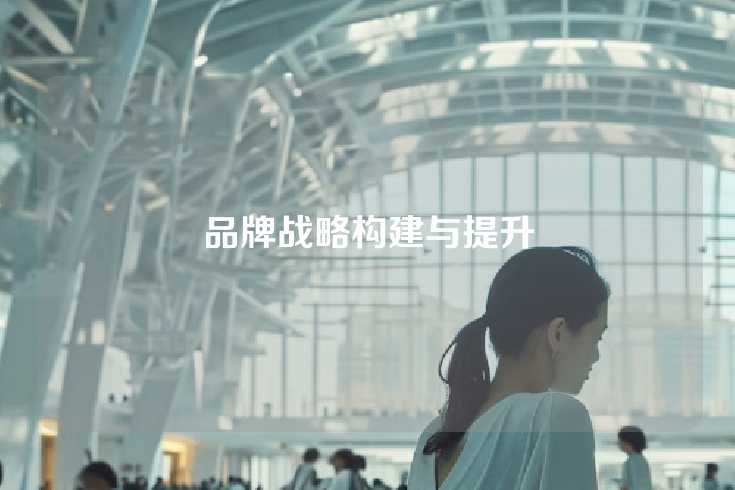品牌战略构建与提升