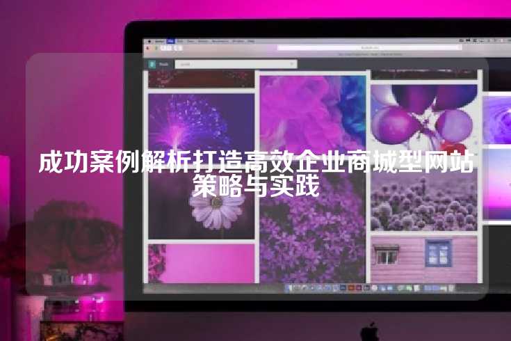 成功案例解析打造高效企业商城型网站策略与实践