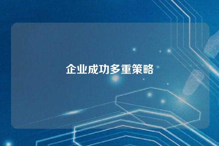 企业成功多重策略