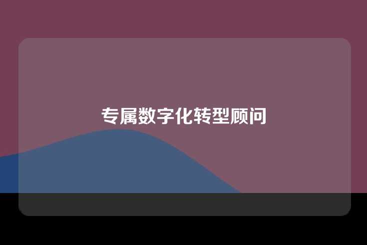 专属数字化转型顾问