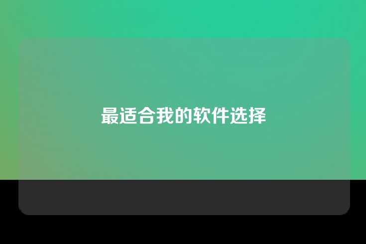 最适合我的软件选择
