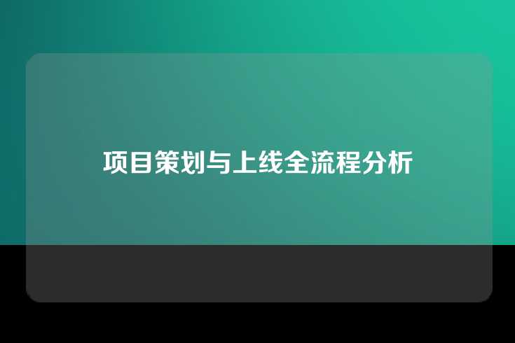 项目策划与上线全流程分析