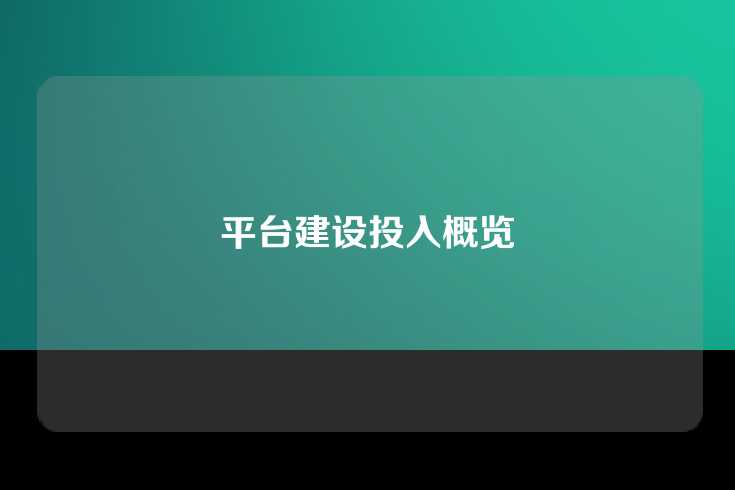 平台建设投入概览