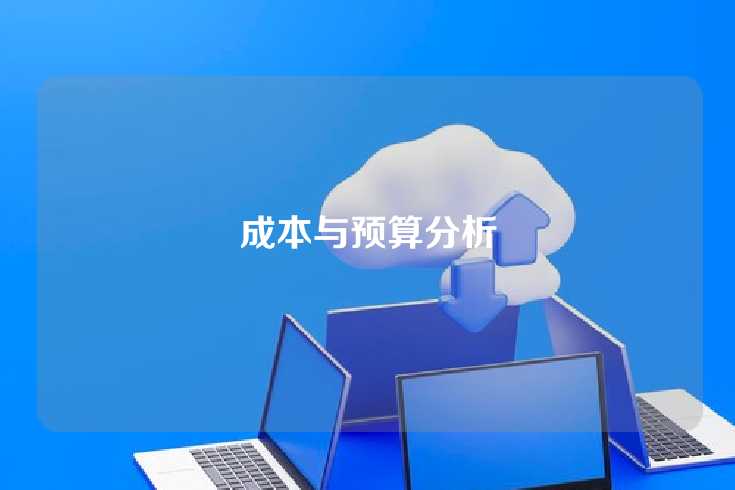 成本与预算分析