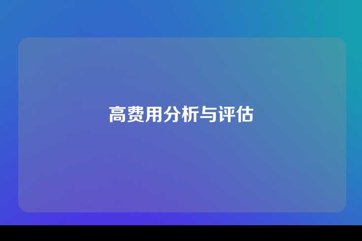 高费用分析与评估